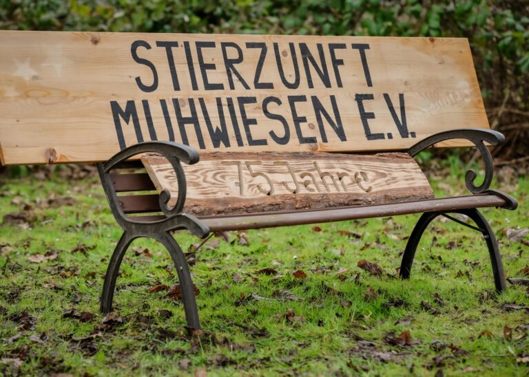 Narrentreffen Wahlwies 2026